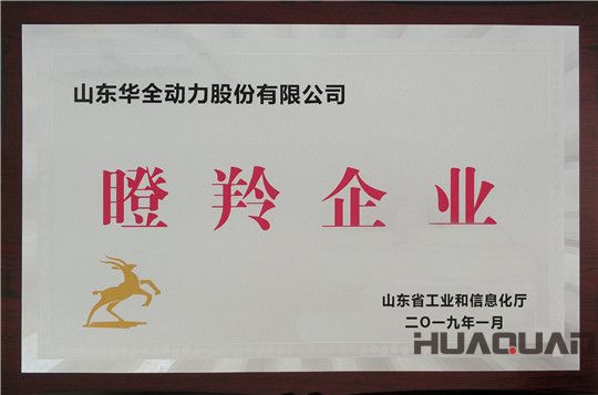 華全動(dòng)力被評(píng)為山東省瞪羚企業(yè)