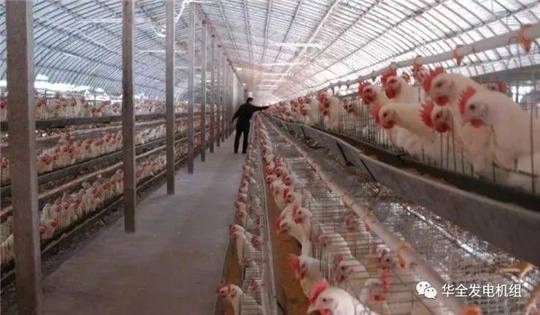 華全燃氣發電機組深受畜牧養殖業喜愛，竟是因為這！